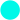 image-value-Bleu fluo