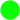 image-value-Vert fluo