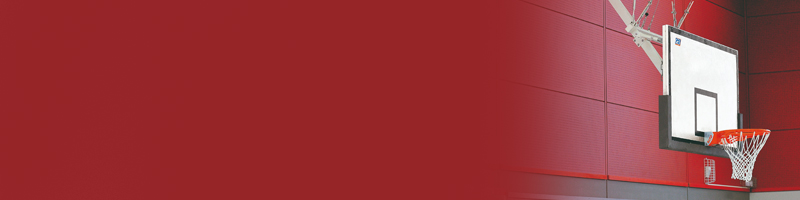 Paniers de basket en charpente