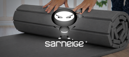 Sarneige