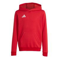 Sweat à Capuche Superdry - Rouge Foncé, Taille S, Adulte, Coton/polyester