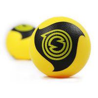 Balle de Spikeball Pro kit