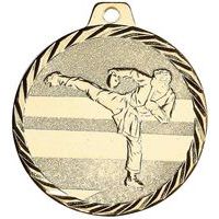 Médaille karaté or - 50mm