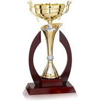 Coupe bois et or 2 anses prestige
