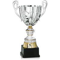 Coupe céramique argent - prestige