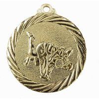 Médaille Promotion Judo