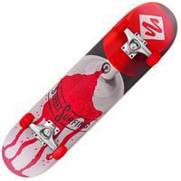 Street skateboard - Street surfing - 31 cannon