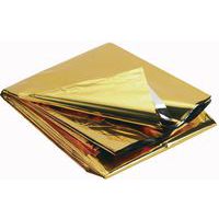 Couverture de survie 50g Trigano Collectivités