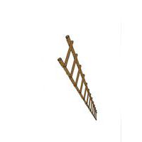 Module sportif saut de grenouille