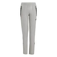 Pantalon Tiro25Competition Vistech Travel Gris Adidas