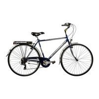 Vélo VTC Moving 28 Casadei