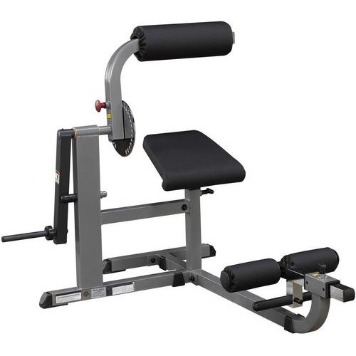 Machine combiné pour abdo et dos - Body Solid - GCAB360 chargement disques 28mm