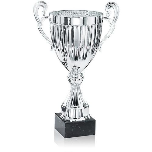Coupe argent 2 anses rainurée premium