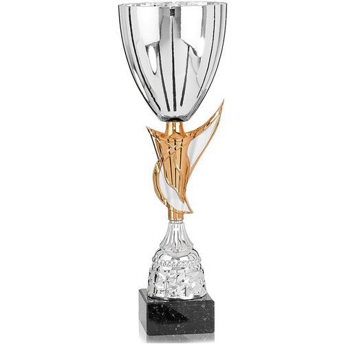 Coupe argent et bronze - classique - 31cm