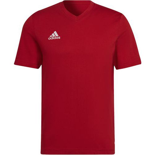 Tee-shirt - adidas - entrada 22 rouge