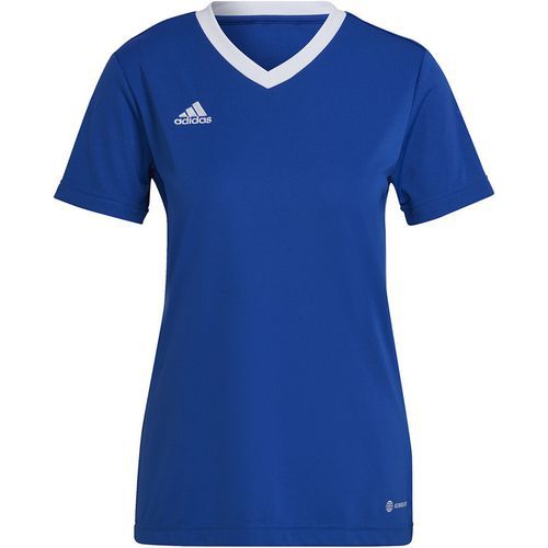 Maillot adidas entrada best sale