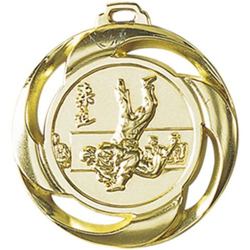 Médaille récompense Judo
