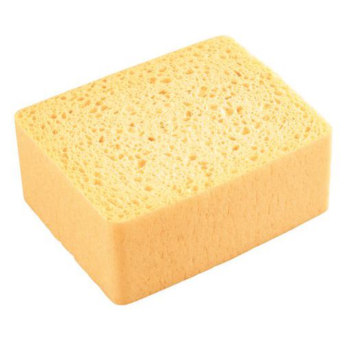 Éponge naturelle Éponge naturelle