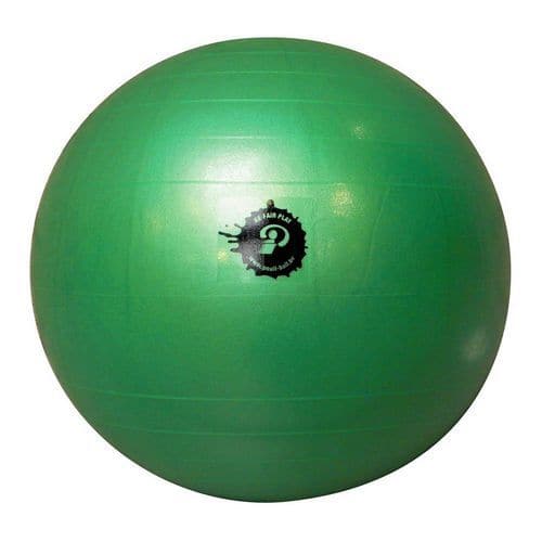Ballon Poull Ball 55cm