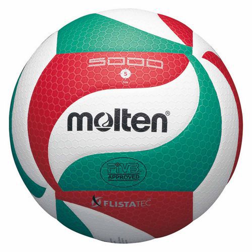 Lot 10 ballons de volley - Molten - V5M5000