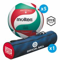 Lot 5 ballons de volley - Molten - V5M5000