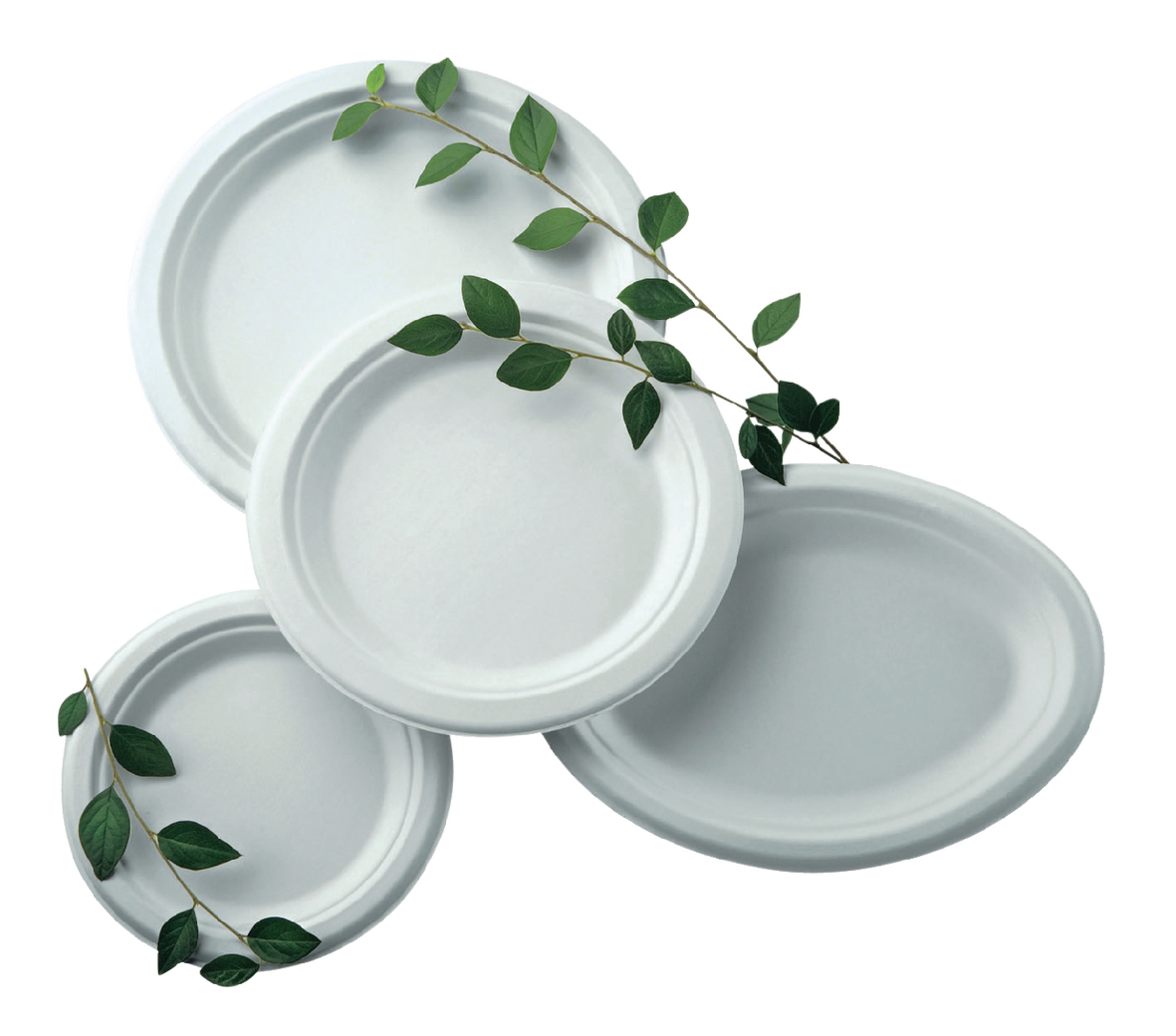 Assiette En Carton Micro Onde