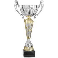 Coupe argent et or - premium