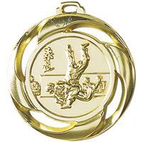 Médaille récompense Judo