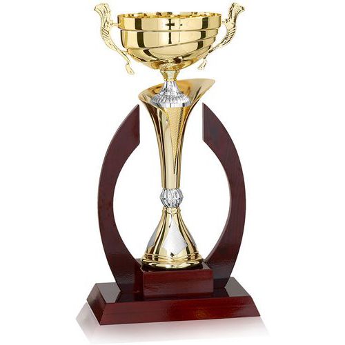 Coupe Trophée Compétition 1ère Place – Idée Cadeau Sport, Récompense Gagnant, Hauteur 19 Cm
